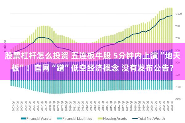 股票杠杆怎么投资 五连板牛股 5分钟内上演“地天板”！官网“蹭”低空经济概念 没有发布公告？