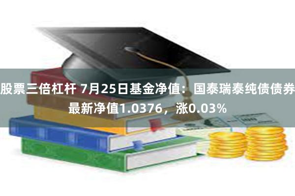 股票三倍杠杆 7月25日基金净值：国泰瑞泰纯债债券最新净值1.0376，涨0.03%