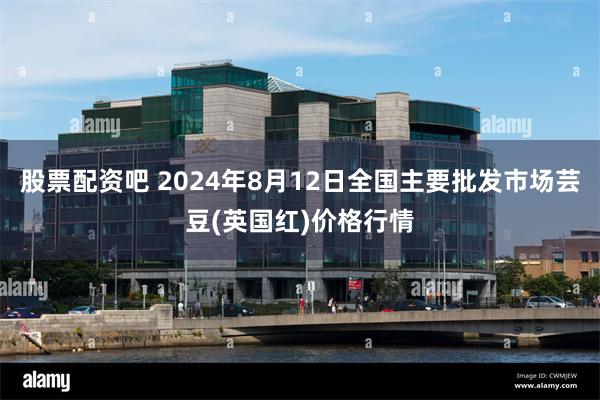 股票配资吧 2024年8月12日全国主要批发市场芸豆(英国红)价格行情