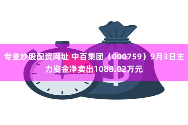 专业炒股配资网址 中百集团（000759）9月3日主力资金净卖出1088.02万元