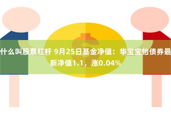 什么叫股票杠杆 9月25日基金净值：华宝宝怡债券最新净值1.1，涨0.04%