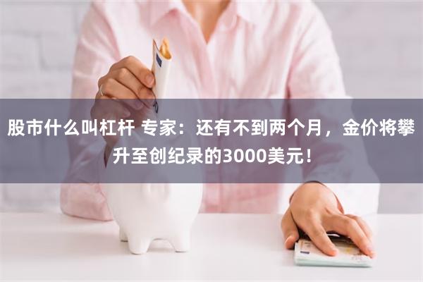 股市什么叫杠杆 专家：还有不到两个月，金价将攀升至创纪录的3000美元！