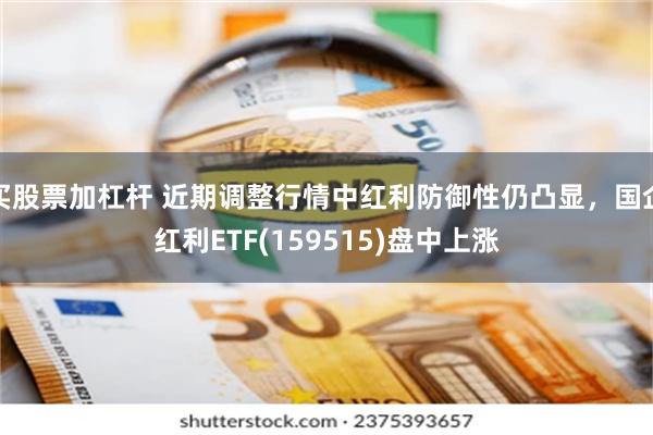 买股票加杠杆 近期调整行情中红利防御性仍凸显，国企红利ETF(159515)盘中上涨