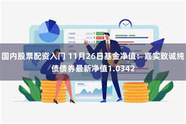 国内股票配资入门 11月26日基金净值：嘉实致诚纯债债券最新净值1.0342