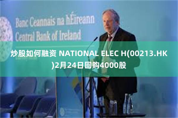 炒股如何融资 NATIONAL ELEC H(00213.HK)2月24日回购4000股